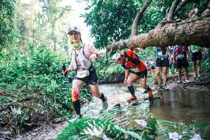 BIB: 
                            <button type="button" onclick="openModal(25461596)" class="btn btn-primary btn-sm float-right btn-popup" data-toggle="modal" data-target=".modal-high-quality">
                        <i class="fas fa-shopping-cart"></i> Add to Cart
                    </button>
                                            <button type="button" onclick="isThisMe(25461596, true)" class="btn btn-success btn-sm float-right btn-popup btn-isme hidden" data-toggle="tooltip" data-placement="bottom" title="นี่คือรูปของคุณใช่ไหม คลิกที่นี่เพื่อเอาเข้าอัลบั้ม">
                        <i class="fas fa-plus"></i> Add to album
                    </button>
                    <button type="button" onclick="isThisMe(25461596, false)" class="btn btn-warning btn-sm float-right btn-popup btn-isnotme hidden">
                        <i class="fas fa-ban"></i> Remove from album
                    </button>